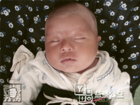 幫孩子回家春節特別行動