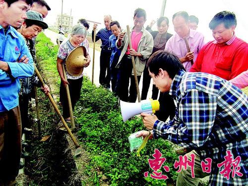 惠城區農業技術人員指導農民防治紅火蟻。