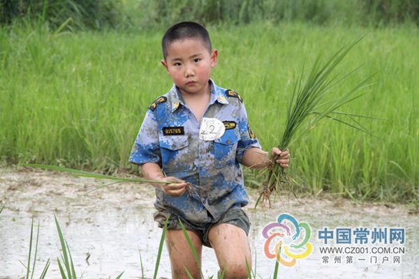 常州第一門戶網 中國常州網 常州龍網 常州日報
