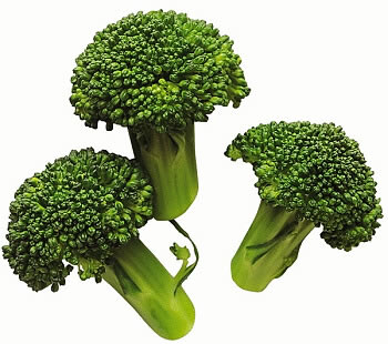 治療癲癇病較好的醫院