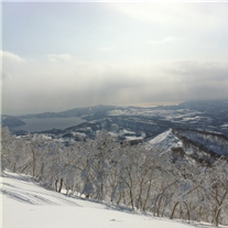 美食也不放過 大雪中的