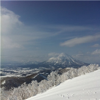 美食也不放過 大雪中的