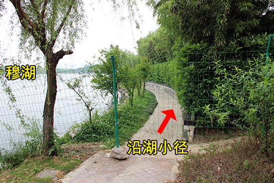 【看房手記】花語(yǔ)湖——穆湖畔的森林住區(qū) 把家安在美景中