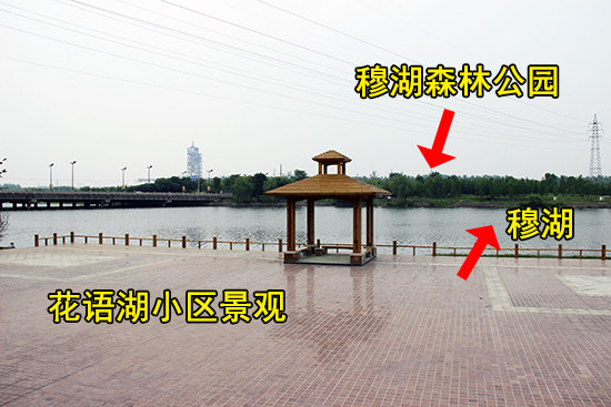 【看房手記】花語(yǔ)湖——穆湖畔的森林住區(qū) 把家安在美景中