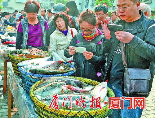 臺海網(微博)3月16日訊