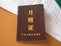 多頭培訓五花八門良莠不齊 一味持證漲價擾亂市場秩序