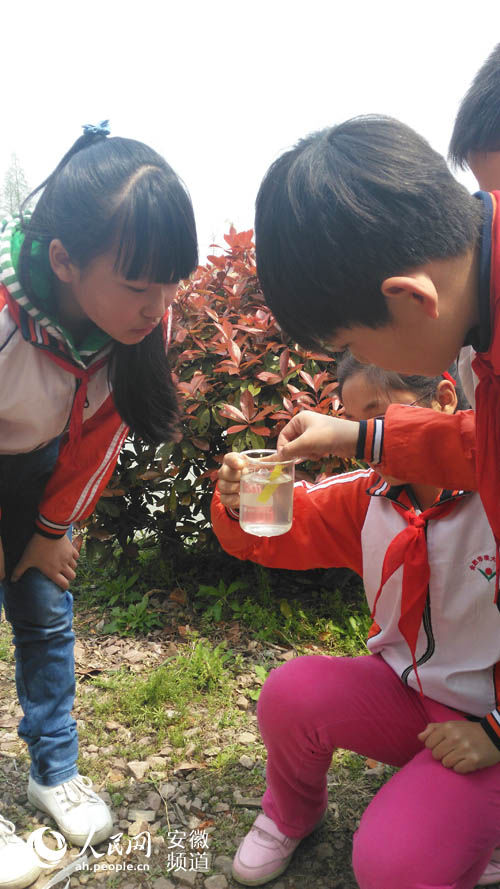 合肥包河區(qū)首創(chuàng)“森林課堂” 學(xué)生走進(jìn)森林探究