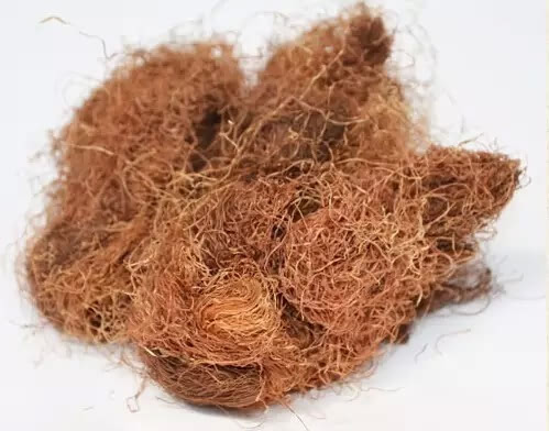 誰說中藥一定苦,這15種居家必備的甜中藥,好吃又治病!