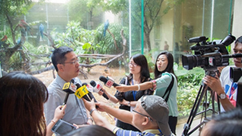 北城幼兒園進駐長隆瓏翠樓盤
