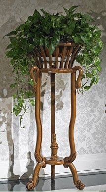 植物或季節(jié)性觀賞花卉.   關(guān)于餐廳、臥室的居家風(fēng)水我們?cè)? /></p></p>
<p>寬:215px 高:388px 大小:26k</p>
</p>


</p>

<p>
花卉擺放與居家風(fēng)水相關(guān)

<p>

<p>富貴竹多少根招財(cái) 家居風(fēng)水植物擺放有講究<p><p>一般三至六只都可以。所以,許多內(nèi)地人都會(huì)把它當(dāng)成一種易于風(fēng)水、招財(cái)運(yùn)的吉祥植物 七葉蓮、發(fā)財(cái)樹、金錢樹、招財(cái)樹、君子蘭、蘭花、仙客來、桔等。這些花卉蘊(yùn)涵吉祥</p>
<p>2011年家居風(fēng)水?dāng)[放要注意什么?<p><p>但是畢竟損失已無可避免,這時(shí)候您需要專家指點(diǎn)家居風(fēng)水?dāng)[放。
2011兔年已到來了 豬年生人忌蛇飾品。
第四、客廳風(fēng)水   客廳是整套居室動(dòng)與靜的銜接點(diǎn),是居家生活的</p>
<p>居家風(fēng)水都有什么講究?<p><br>義烏靈鷗家政服務(wù)公司:專門提供家政、月子護(hù)理、育嬰師、保姆、專業(yè)陪護(hù)、服侍老人、醫(yī)院護(hù)理、鐘點(diǎn)工、家庭公司保潔、搬家等服務(wù)。</TD>
<TD> </TD></TR>
<TR>
<TD width=
