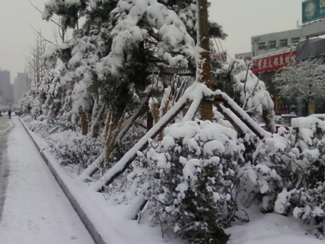 下雪了 印畫 花火論壇