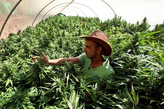 "自慰的藝術"進課堂 盤點各國令人驚訝的奇葩專