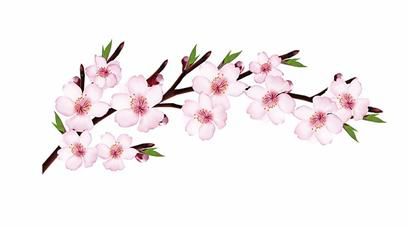 眾所周知,日本是世界上人均壽命最長的國家。據相關資料顯示,近幾十年來,日本的男性公民平均壽命為75.2歲,而女性公民的平均壽命更高,為80.9歲,即便是在政治、經濟和文化等方面位居第一的美國,也無法與其比擬。