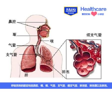 慧恩奶粉小課堂:秋冬季呼吸道疾病防治