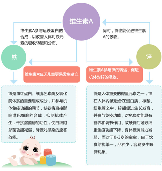 伊可新媽媽課堂:解析增強(qiáng)寶寶“抵抗力”的各類營(yíng)養(yǎng)素