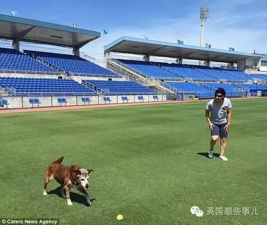 老年狗狗的幾十個心愿 被一群熱情網友完成了