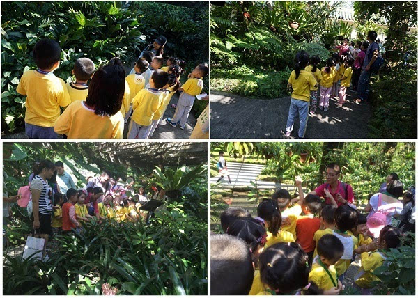 南山佳嘉豪苑幼兒園到仙湖植物園體驗(yàn)自然科普課堂