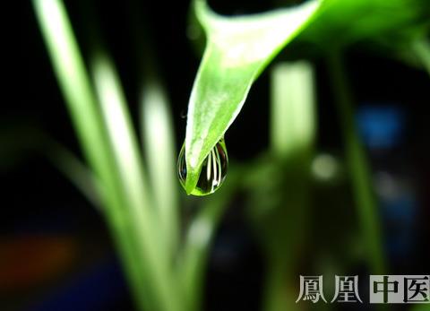 秋游貪吃不明植物 兒童頻發(fā)中毒事件