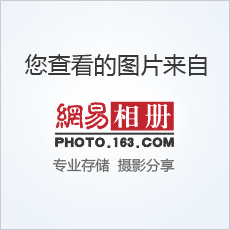 培養(yǎng)幼兒主動(dòng)探索的學(xué)習(xí)能力